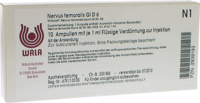 NERVUS FEMORALIS GL D 6 Ampullen